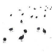Красота природы от National Geographic