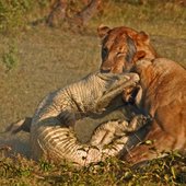 Красота природы от National Geographic
