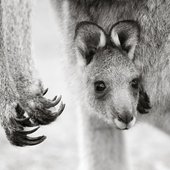 Красота природы от National Geographic