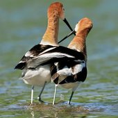 Красота природы от National Geographic