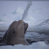 Красота природы от National Geographic