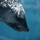 Красота природы от National Geographic