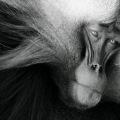 Красота природы от National Geographic