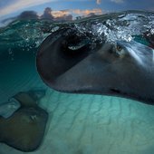 Красота природы от National Geographic