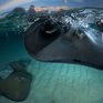 Красота природы от National Geographic