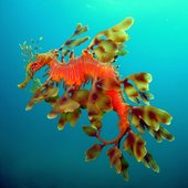 Красота природы от National Geographic