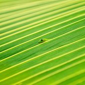 Красота природы от National Geographic