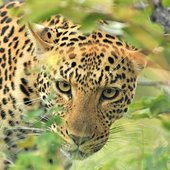 Красота природы от National Geographic