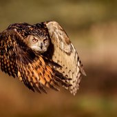 Красота природы от National Geographic