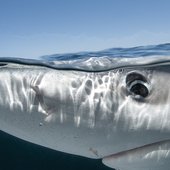 Красота природы от National Geographic