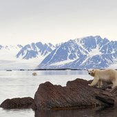 Красота природы от National Geographic