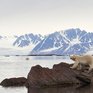 Красота природы от National Geographic