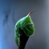 Красота природы от National Geographic