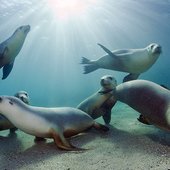 Красота природы от National Geographic