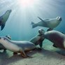 Красота природы от National Geographic