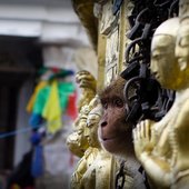 Красота природы от National Geographic