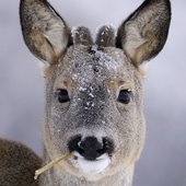 Красота природы от National Geographic