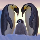 Красота природы от National Geographic