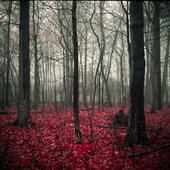Красота природы от National Geographic
