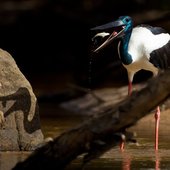Красота природы от National Geographic