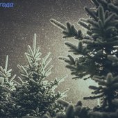 Ночным снегопадом попрощалась осень с Приморьем