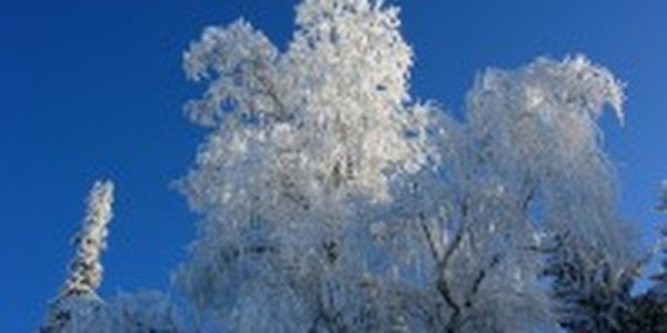Во Владивостоке морозно и ясно