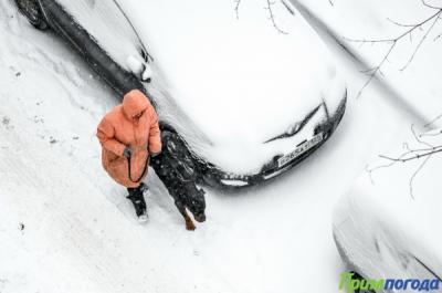 Во Владивостоке вновь пошел снег: Обзор