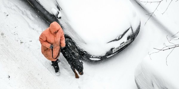 Во Владивостоке вновь пошел снег: Обзор