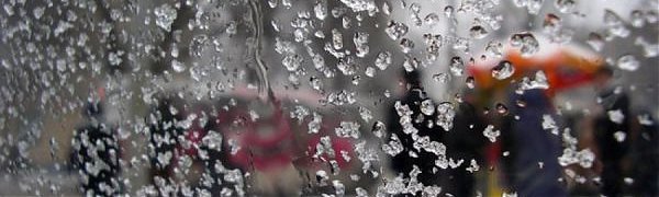 На Камчатке из-за снежной бури отменили занятия в школах