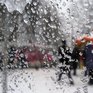 На Камчатке из-за снежной бури отменили занятия в школах