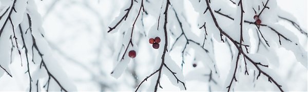 Полную силу непогоды Приморье ощутит в ночь на среду