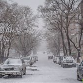 Приморье находится во власти снежного циклона