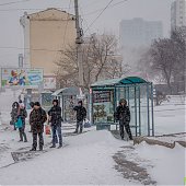Приморье находится во власти снежного циклона