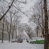 Приморье находится во власти снежного циклона