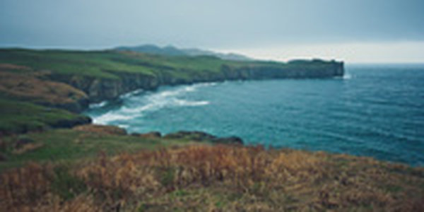 Если вам не мила погода