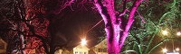  Нанотехнологии могут превратить деревья в уличные фонари
