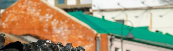 Предстоящие выходные в Приморье будут морозными