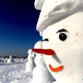 В Китае поселилось более 2 000 снеговиков