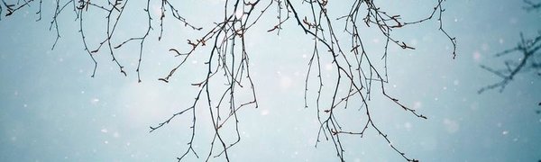 Какой будет зима 2016-2017 в Приморье?