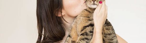 Россияне любят кошек больше, чем кто-либо в мире