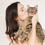 Россияне любят кошек больше, чем кто-либо в мире