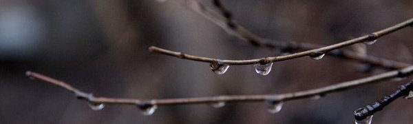 Завтра в Приморье будет тепло: до +11 °С и дождливо