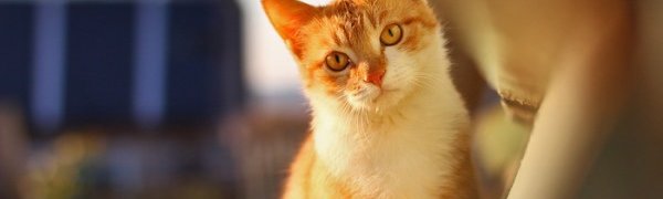 Выходные дни в Приморье отметятся незначительным похолоданием