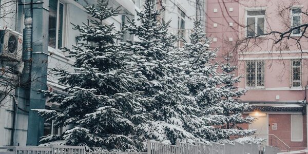 Циклон за циклоном: синоптики озвучили прогноз на первую неделю марта в Приморье