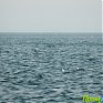 Непогода во Владивостоке стала причиной отмены морского прибрежного сообщения