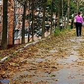 На смену теплой и солнечной погоде в Приморье идут дожди
