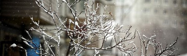 Завтра в Приморье пройдёт небольшой снег с дождём