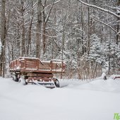 Снегопады и похолодание в Приморье идут на спад