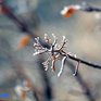 Морозы до −30 °C: зима в Приморье не собирается сдаваться