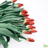 Мартовские снегопады были самыми интенсивными с начала года в Приморье